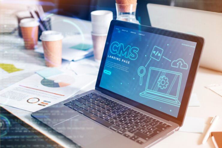 person working html computer 23 2150038849 CMS Development